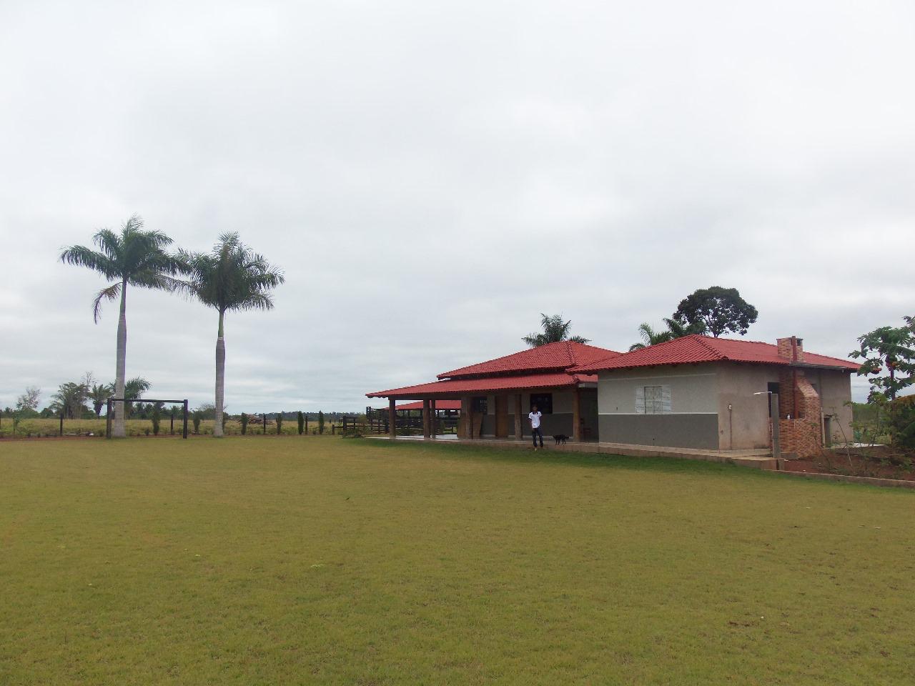 WhatsApp Image 2026-02-17 at 15.56.45 (4)