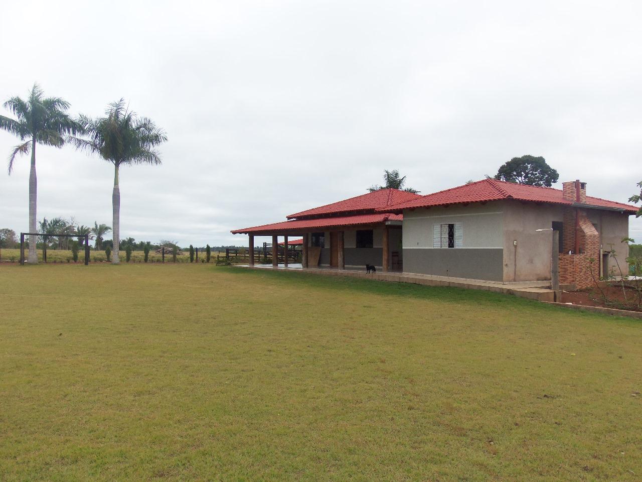 WhatsApp Image 2026-02-17 at 15.56.46 (2)