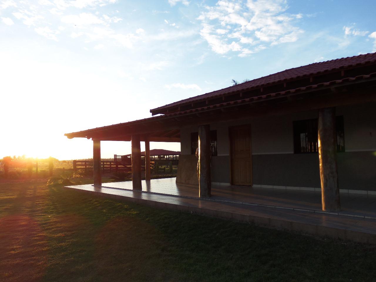 WhatsApp Image 2026-02-17 at 15.56.46