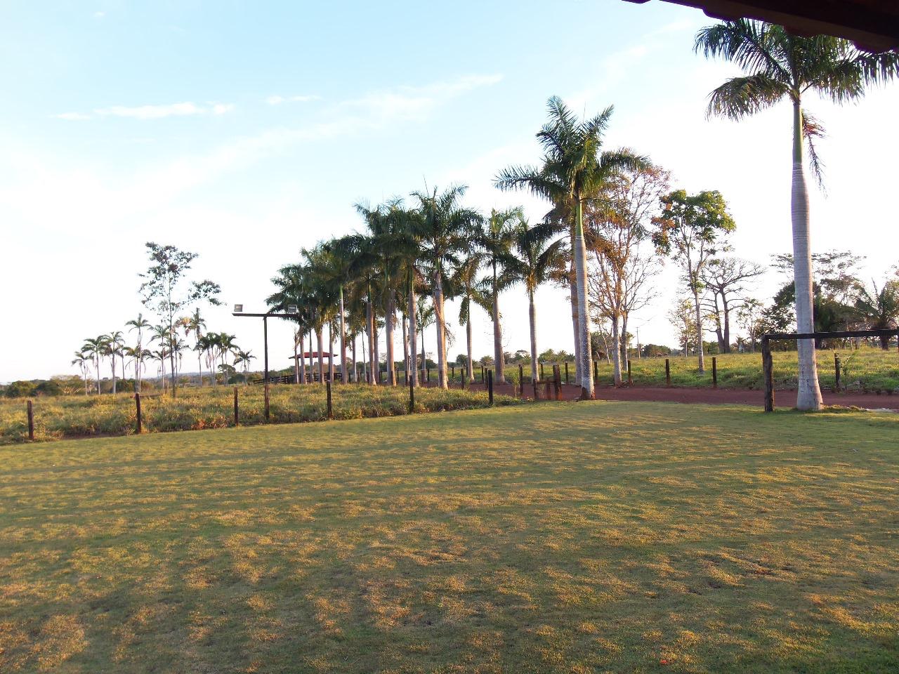 WhatsApp Image 2026-02-17 at 15.56.47 (2)