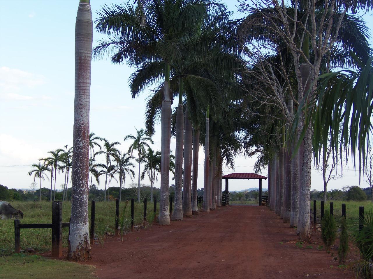 WhatsApp Image 2026-02-17 at 15.56.47 (3)