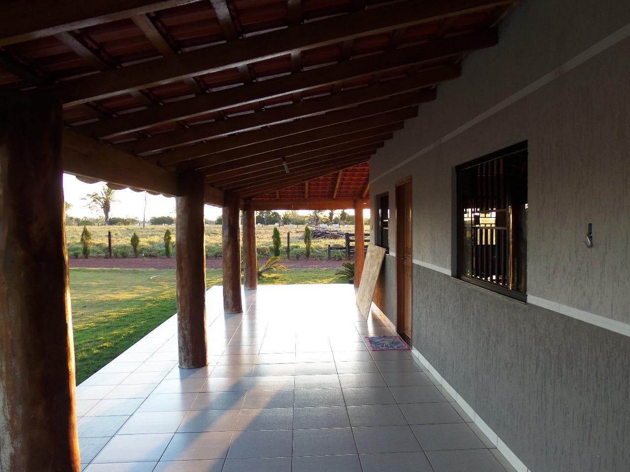 WhatsApp Image 2026-02-17 at 15.56.47