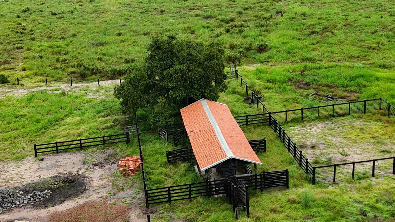 WhatsApp Image 2026-02-17 at 16.05.10 (1)