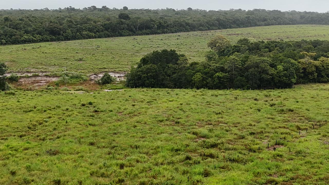 WhatsApp Image 2026-02-17 at 16.05.10 (2)