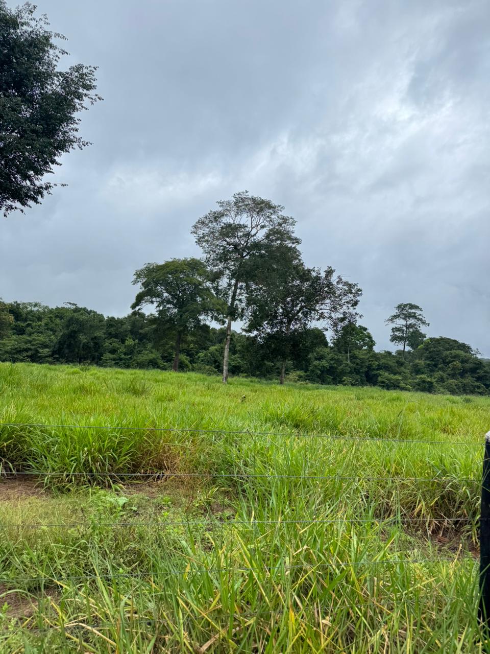 WhatsApp Image 2026-02-17 at 16.05.10