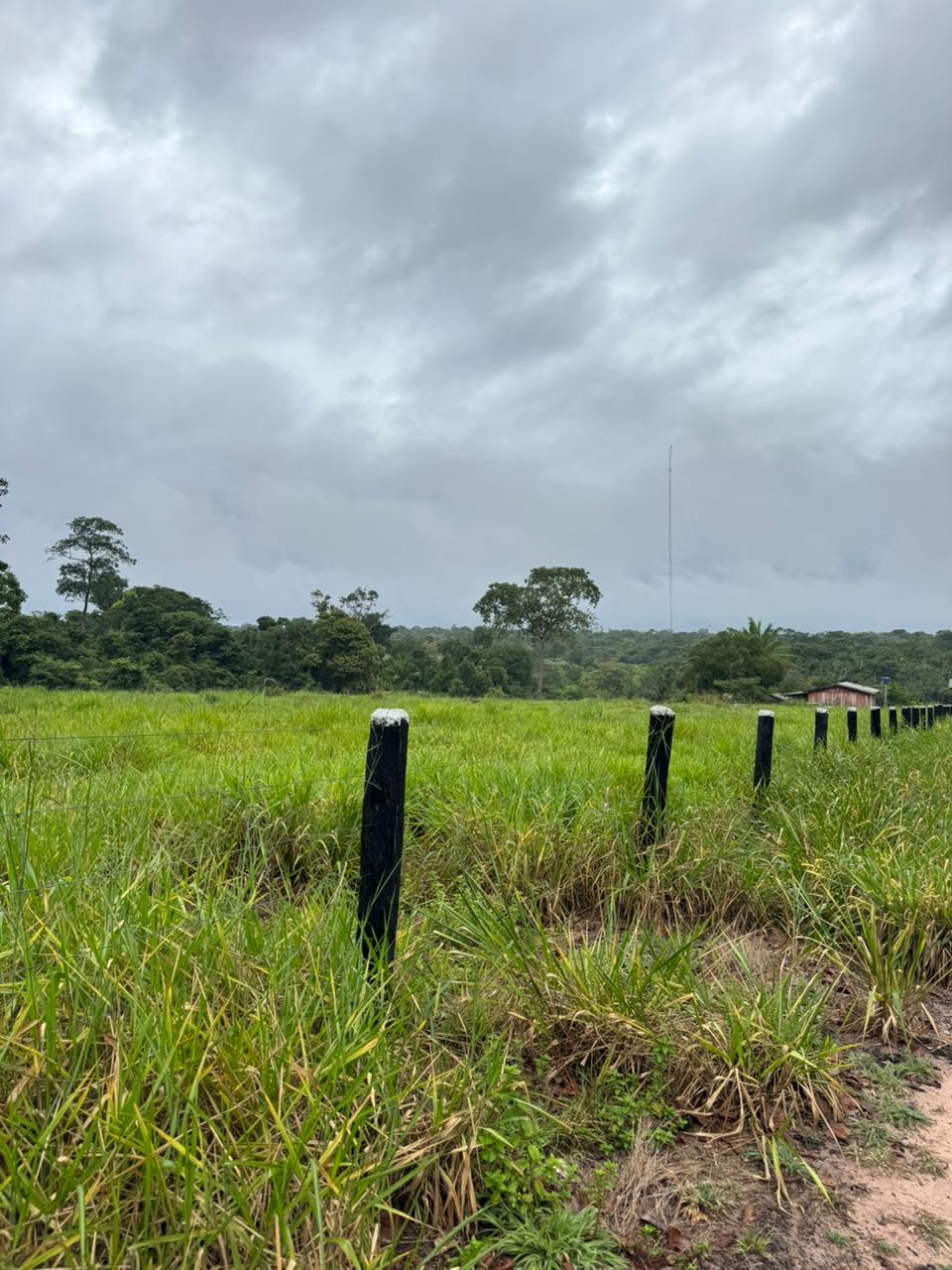 WhatsApp Image 2026-02-17 at 16.05.11 (2)