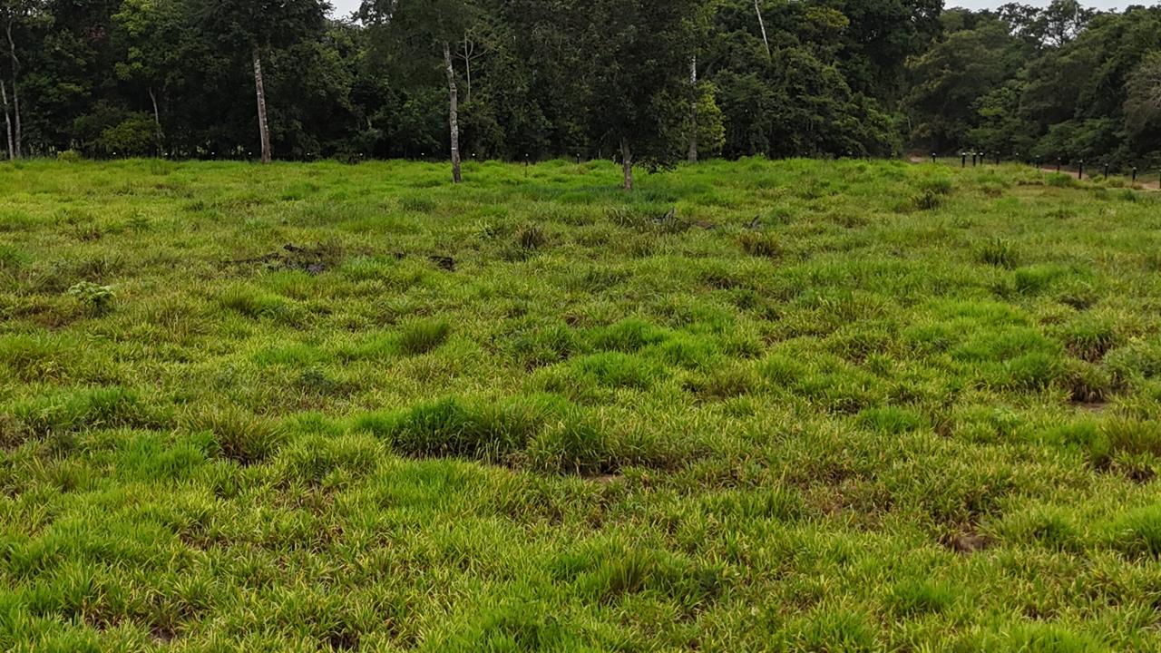 WhatsApp Image 2026-02-17 at 16.05.11