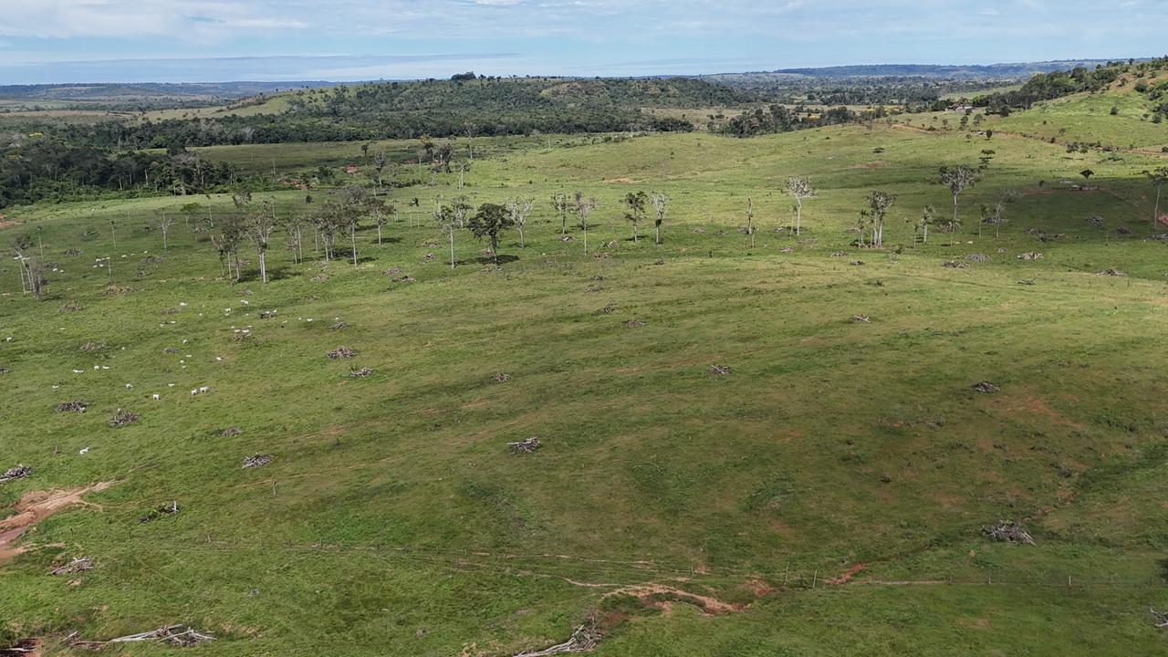 WhatsApp Image 2026-02-17 at 16.16.31 (1)