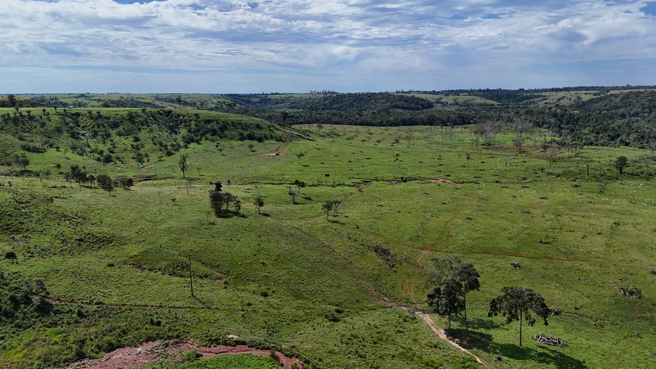 WhatsApp Image 2026-02-17 at 16.16.31