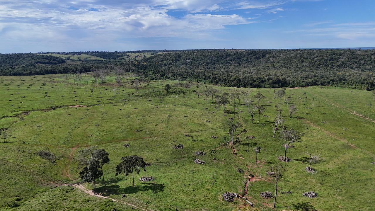 WhatsApp Image 2026-02-17 at 16.16.32 (1)