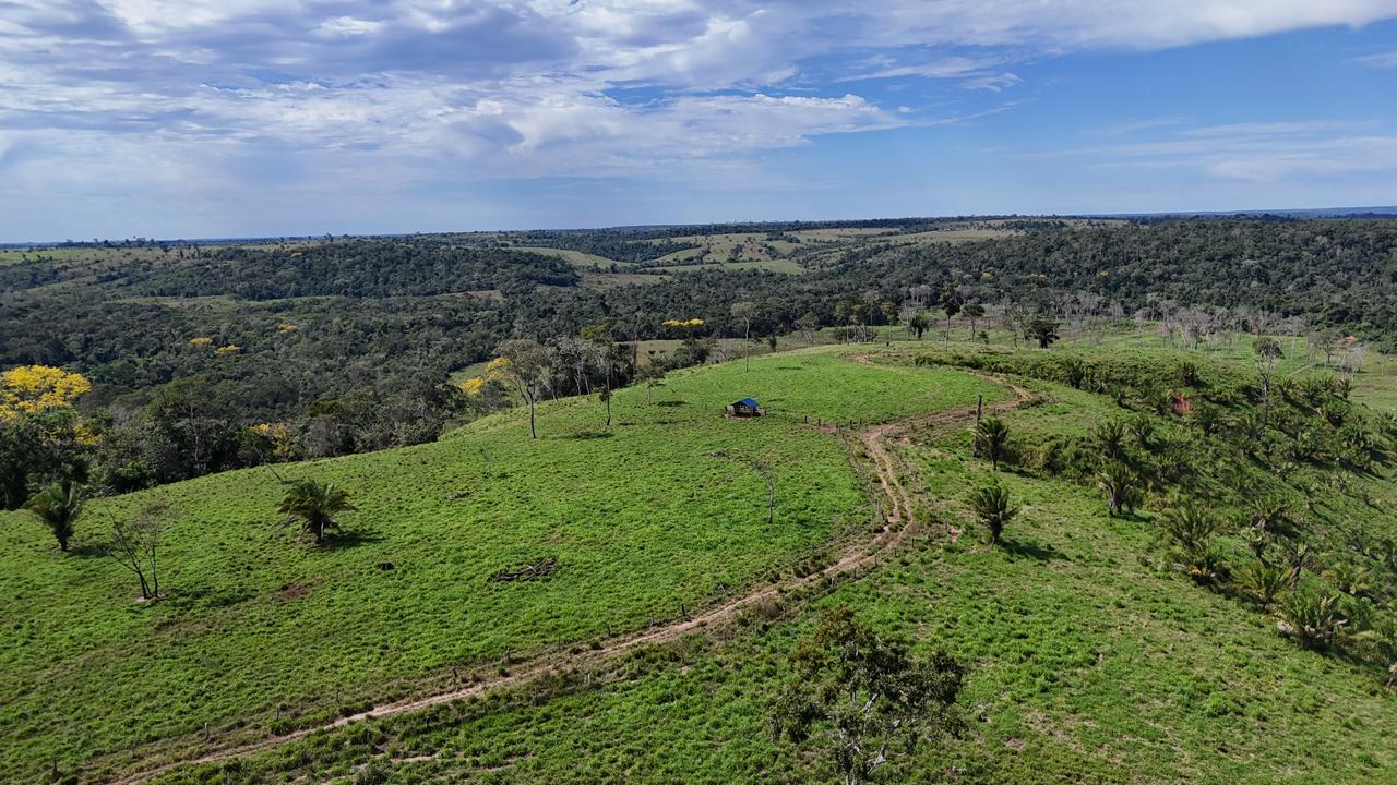 WhatsApp Image 2026-02-17 at 16.16.32 (3)