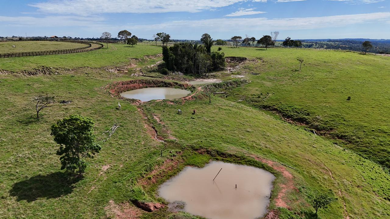 WhatsApp Image 2026-02-17 at 16.16.32 (4)