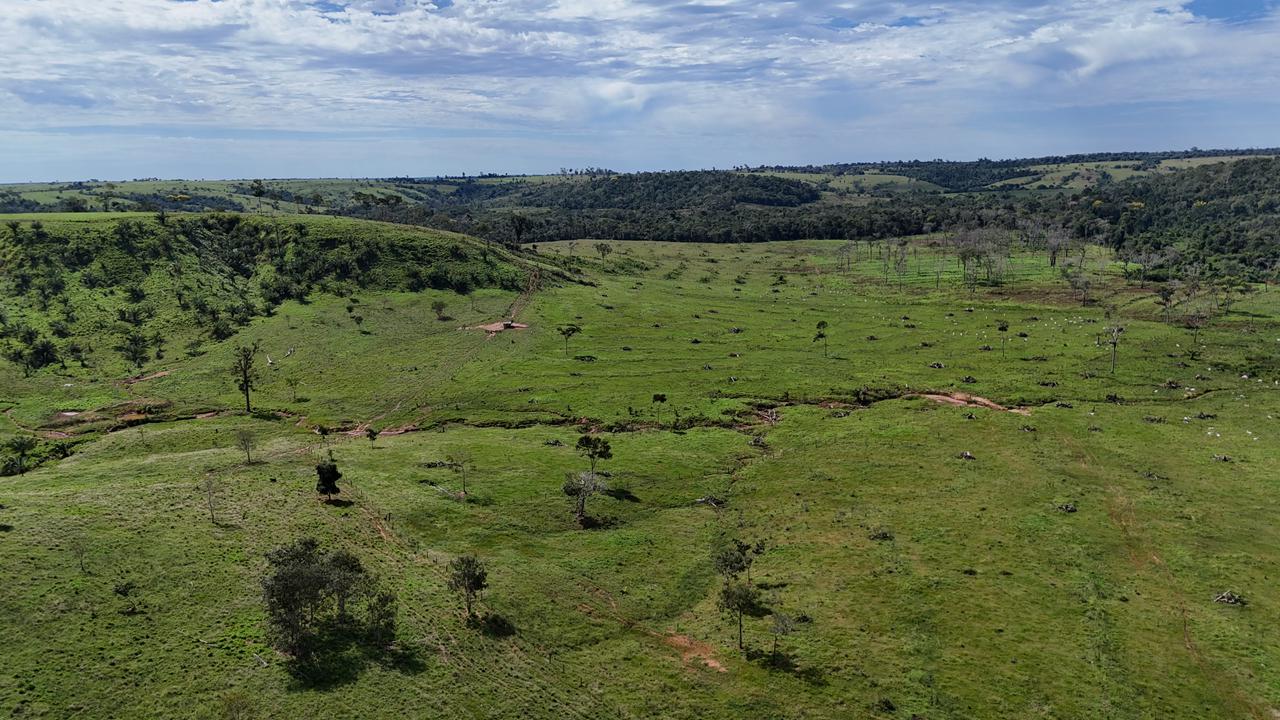 WhatsApp Image 2026-02-17 at 16.16.32