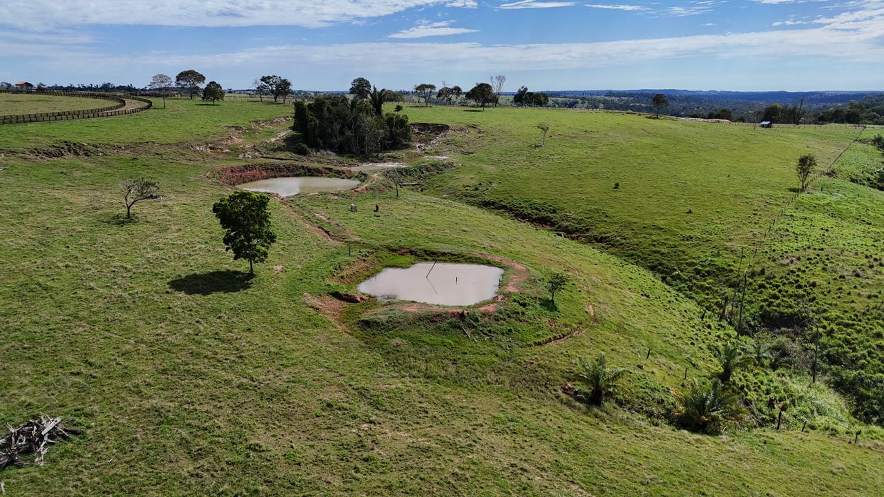 WhatsApp Image 2026-02-17 at 16.16.33 (1)