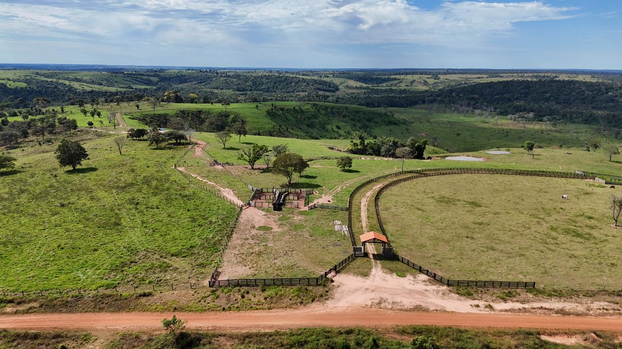 WhatsApp Image 2026-02-17 at 16.16.33 (3)