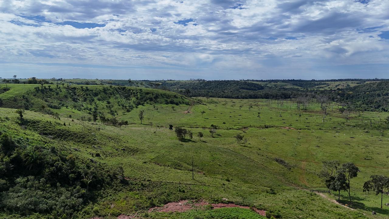 WhatsApp Image 2026-02-17 at 16.16.33 (4)