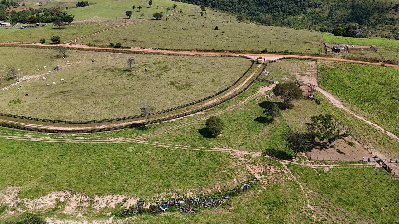 WhatsApp Image 2026-02-17 at 16.16.33