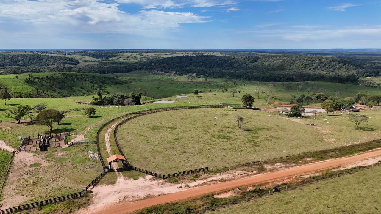 WhatsApp Image 2026-02-17 at 16.16.34 (1)