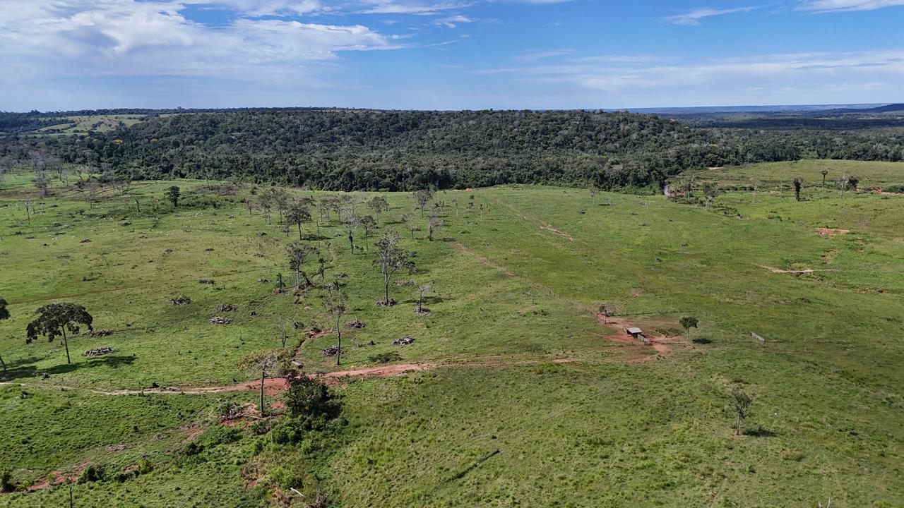 WhatsApp Image 2026-02-17 at 16.16.34