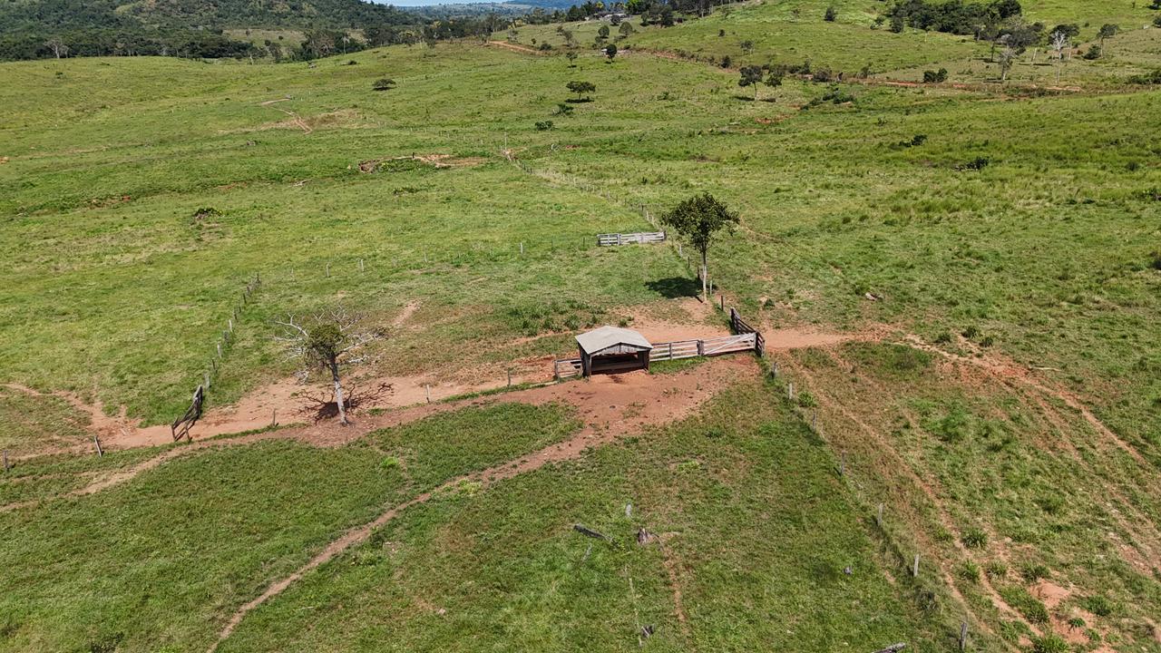 WhatsApp Image 2026-02-17 at 16.16.35 (1)