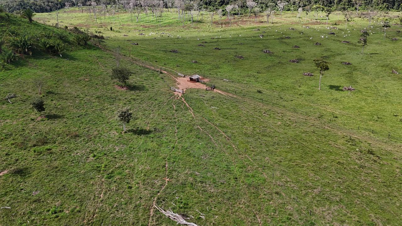 WhatsApp Image 2026-02-17 at 16.16.35 (2)