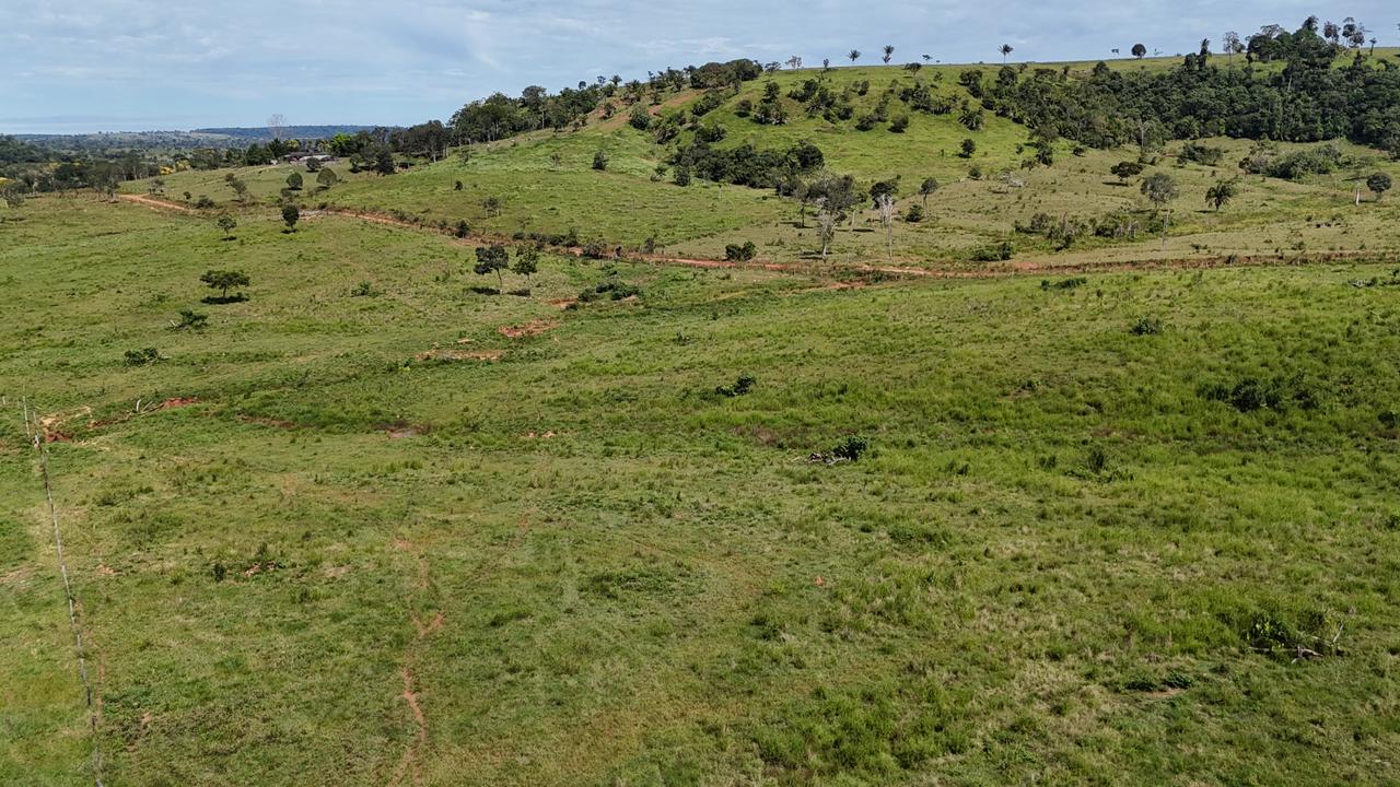 WhatsApp Image 2026-02-17 at 16.16.35