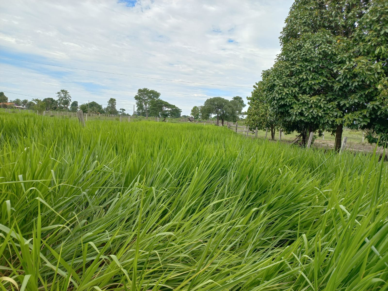 WhatsApp Image 2026-02-17 at 16.32.09 (1)