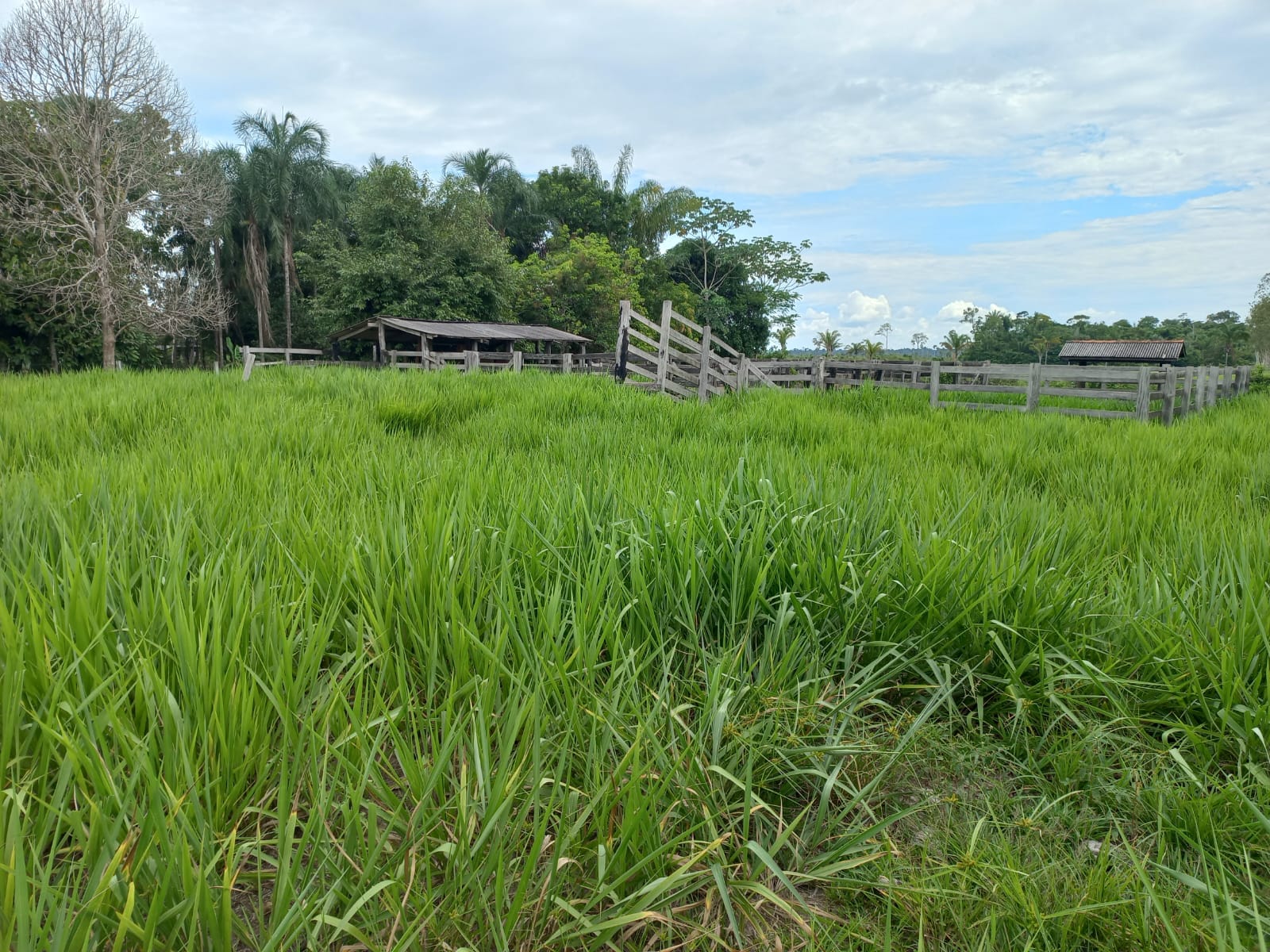 WhatsApp Image 2026-02-17 at 16.32.09 (2)