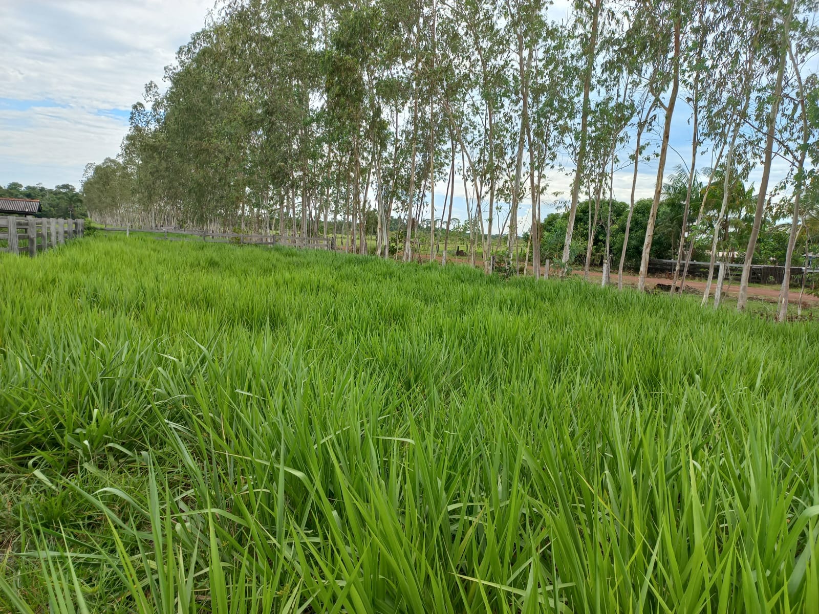 WhatsApp Image 2026-02-17 at 16.32.09 (3)