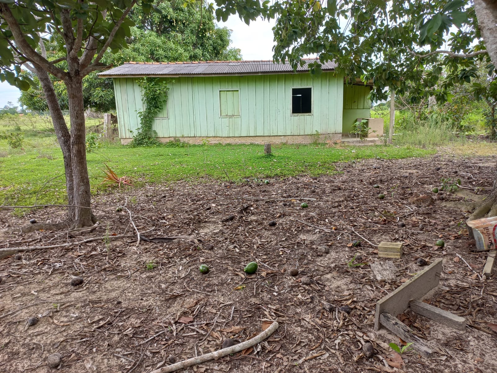 WhatsApp Image 2026-02-17 at 16.32.09