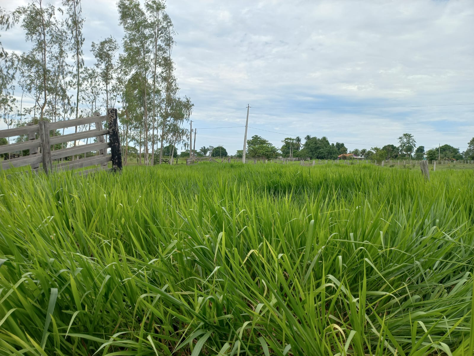 WhatsApp Image 2026-02-17 at 16.32.10 (1)