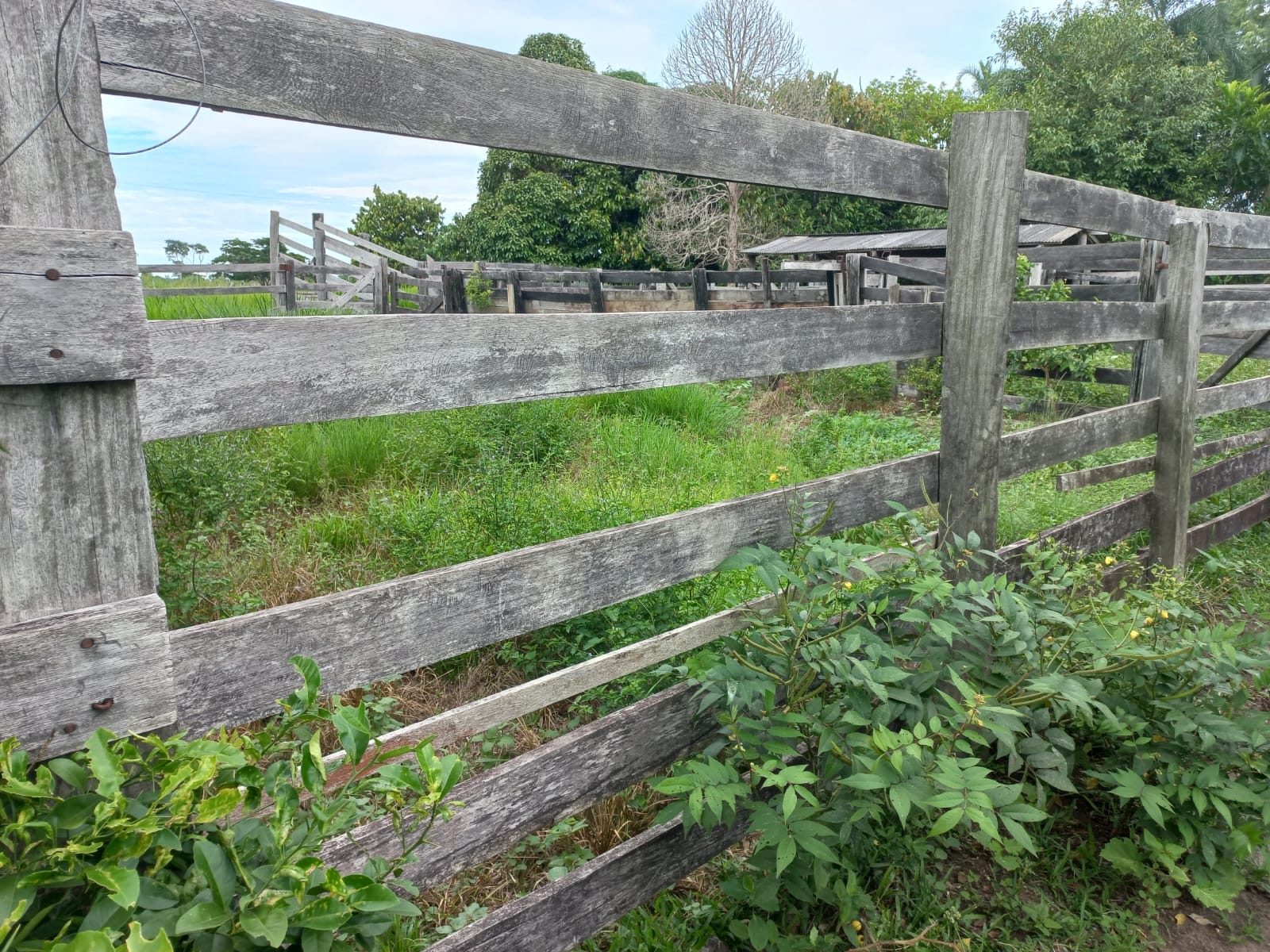 WhatsApp Image 2026-02-17 at 16.32.10 (2)