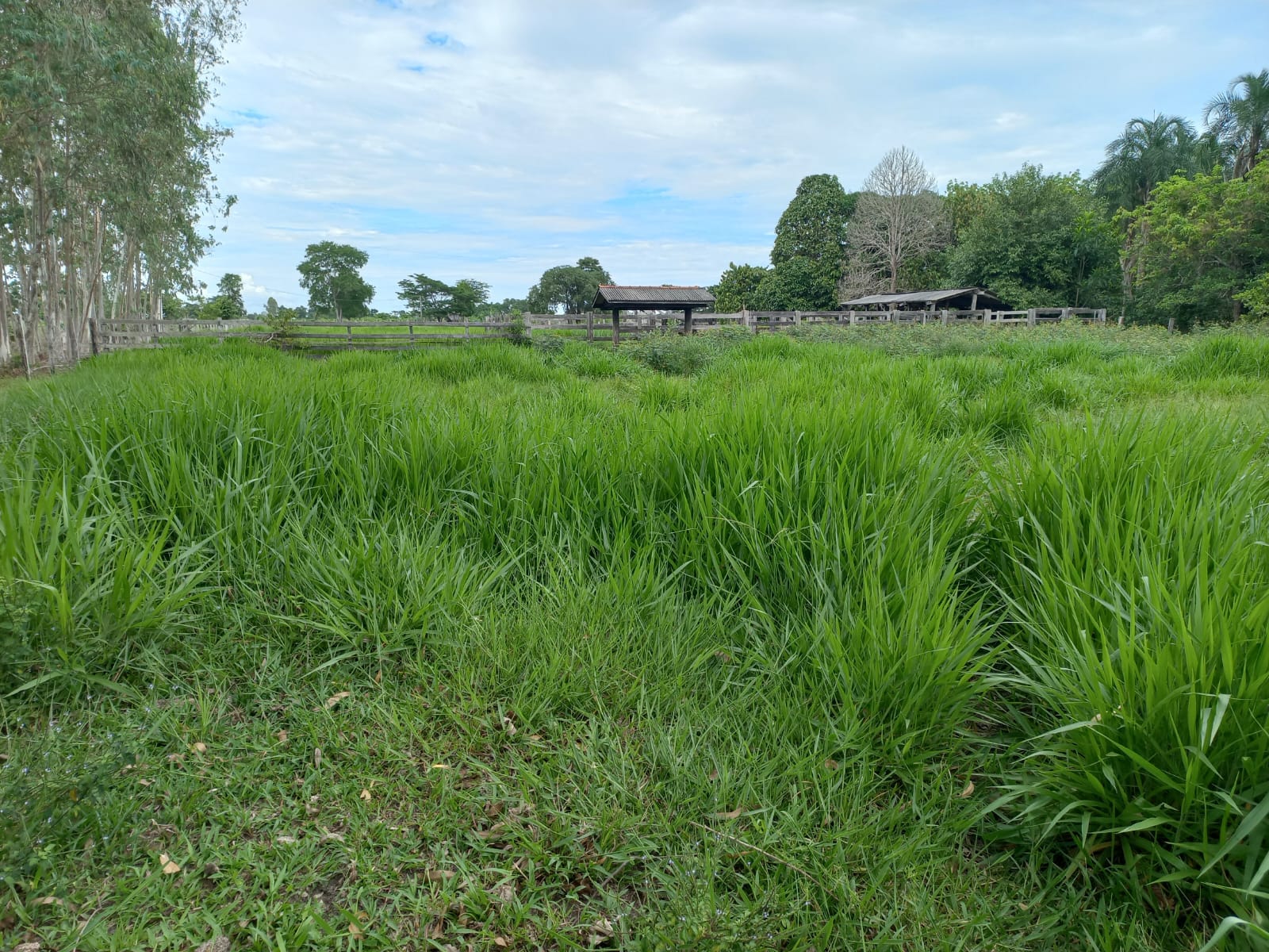 WhatsApp Image 2026-02-17 at 16.32.10 (3)