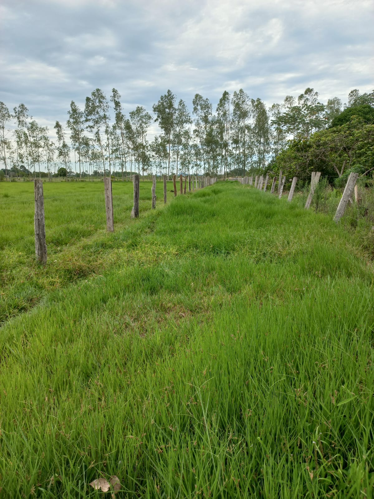 WhatsApp Image 2026-02-17 at 16.32.10 (4)