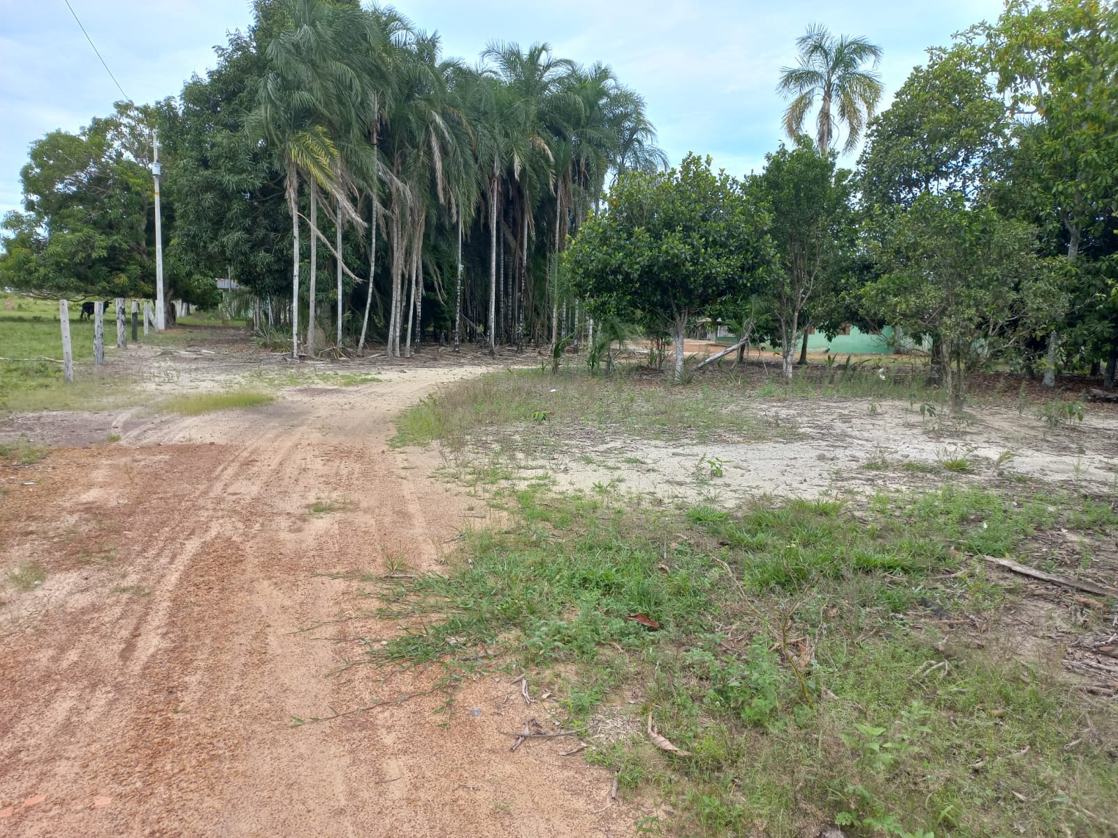 WhatsApp Image 2026-02-17 at 16.32.10