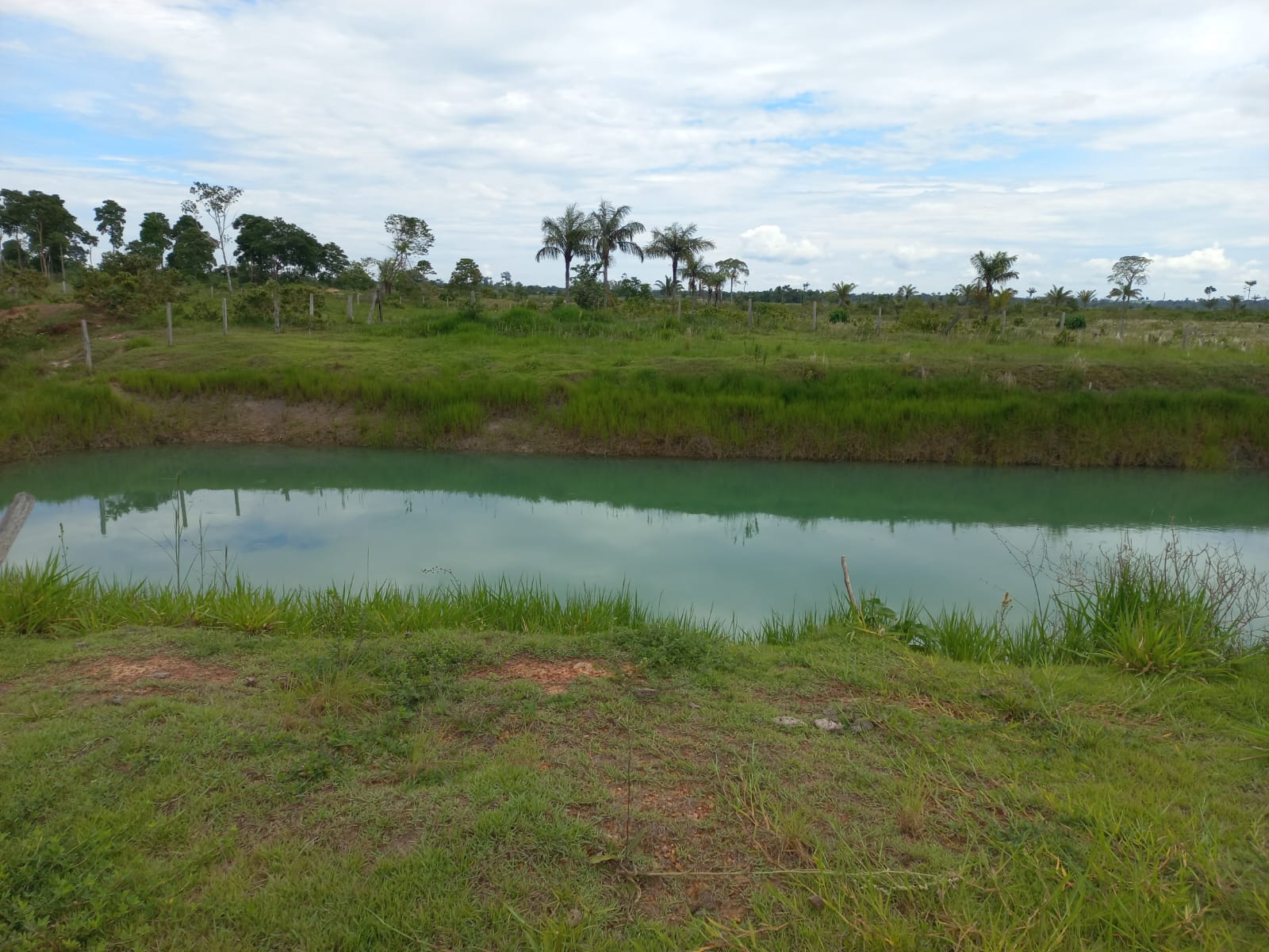 WhatsApp Image 2026-02-17 at 16.32.11 (1)