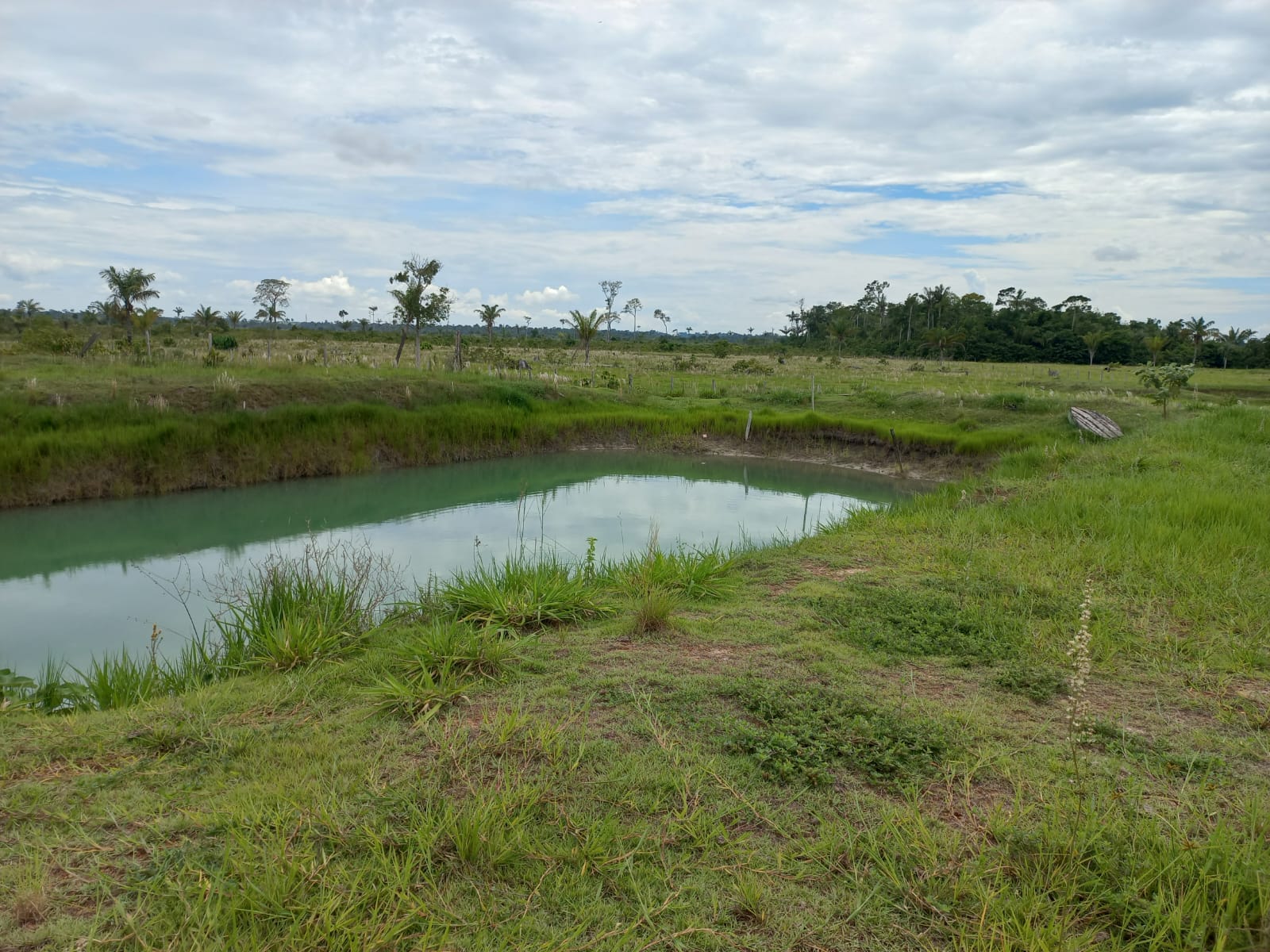 WhatsApp Image 2026-02-17 at 16.32.11 (2)