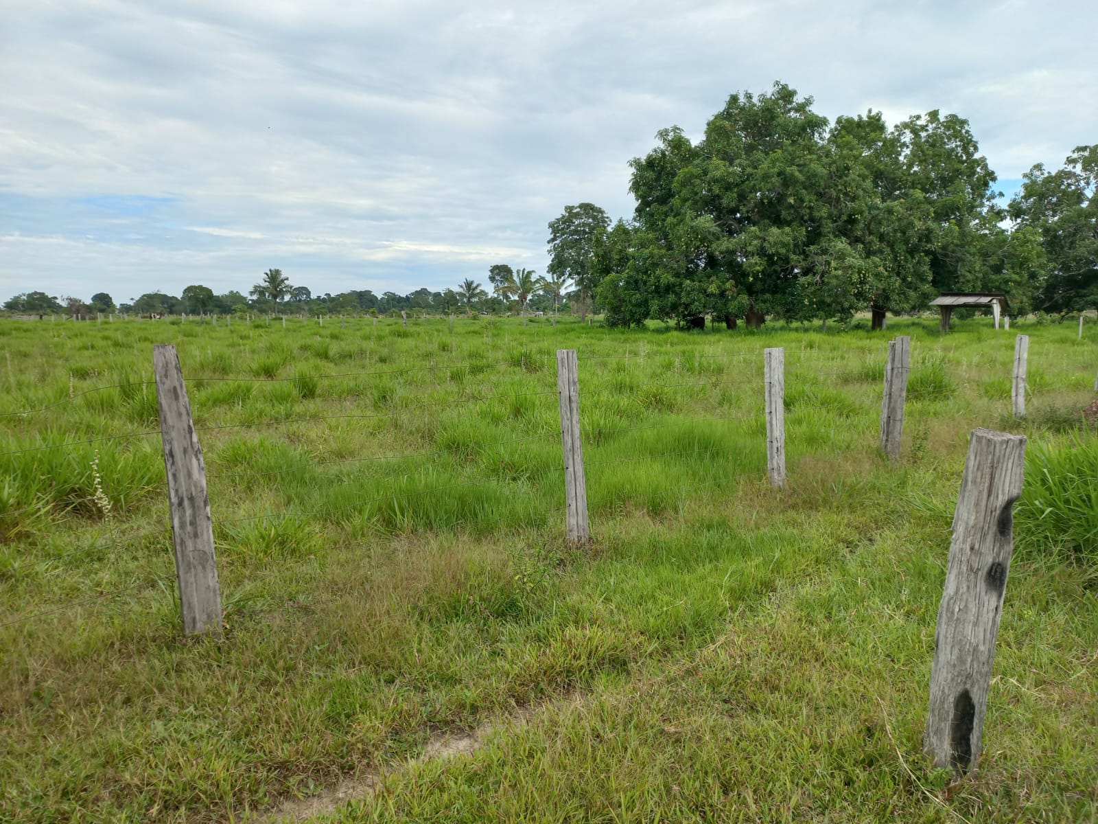 WhatsApp Image 2026-02-17 at 16.32.11 (3)