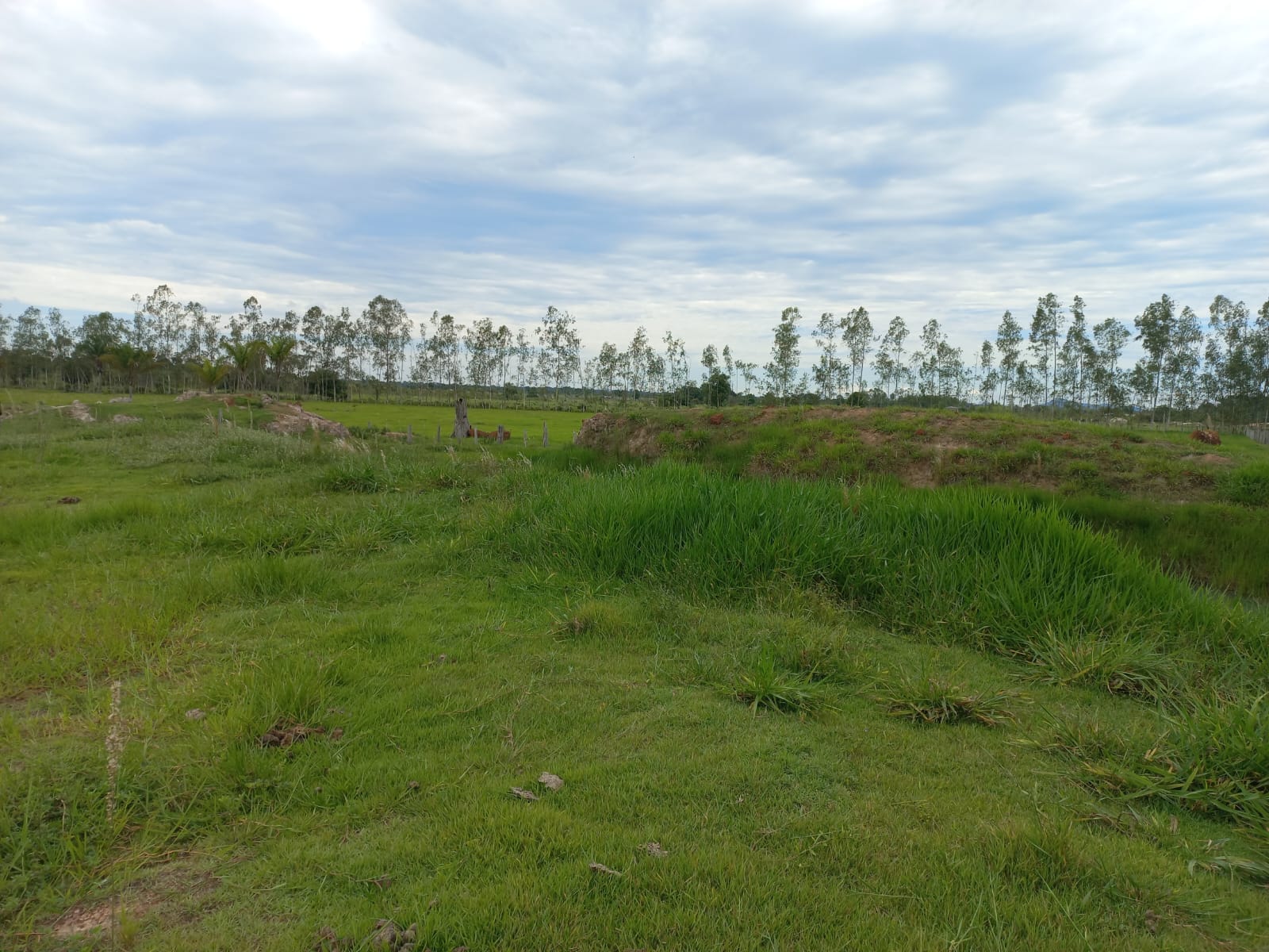 WhatsApp Image 2026-02-17 at 16.32.11 (4)