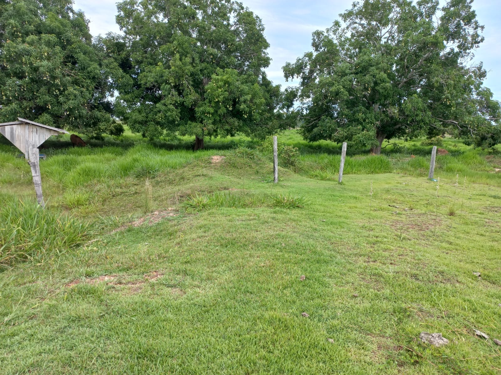 WhatsApp Image 2026-02-17 at 16.32.11