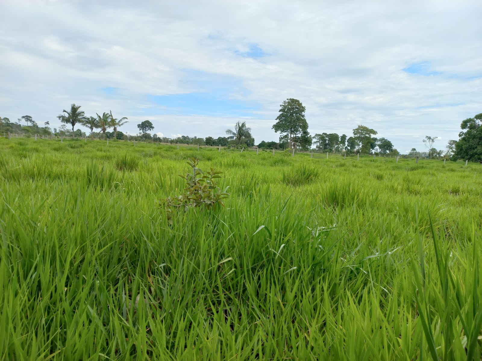 WhatsApp Image 2026-02-17 at 16.32.12 (1)