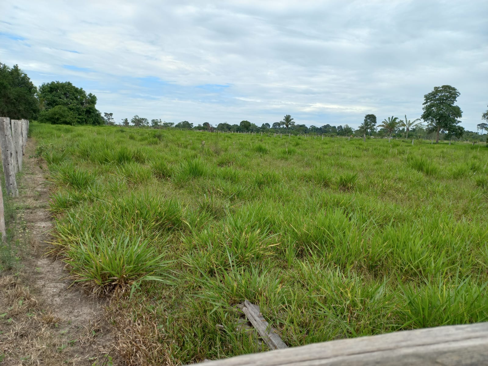 WhatsApp Image 2026-02-17 at 16.32.12 (2)