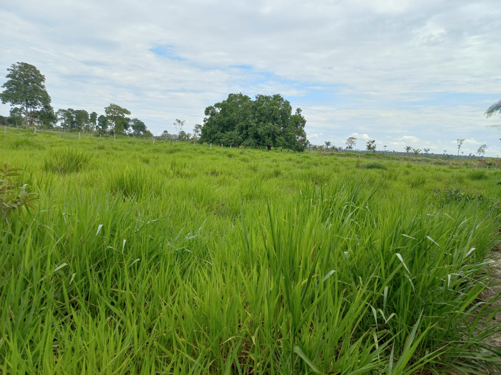 WhatsApp Image 2026-02-17 at 16.32.12 (3)