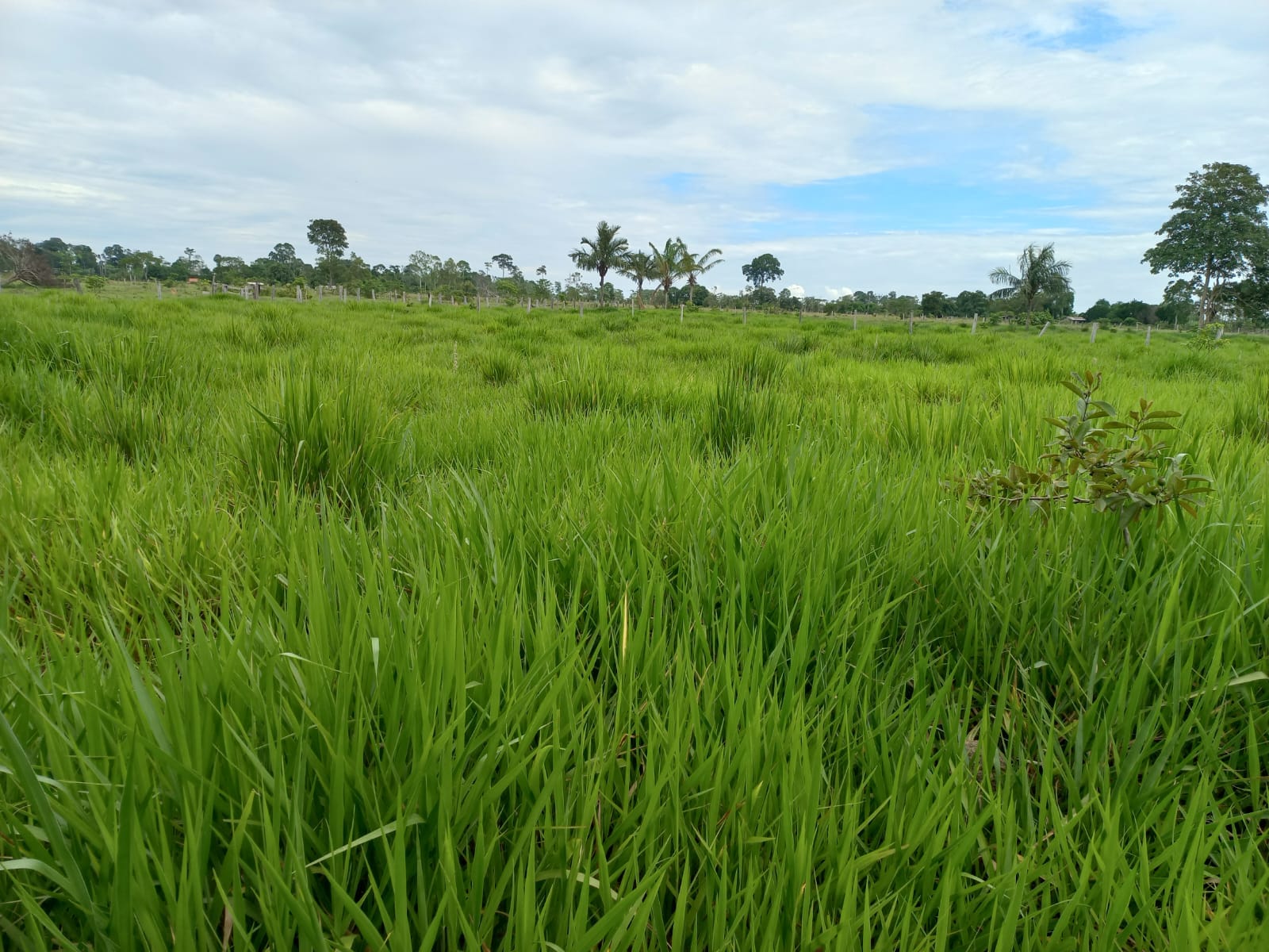 WhatsApp Image 2026-02-17 at 16.32.12 (4)