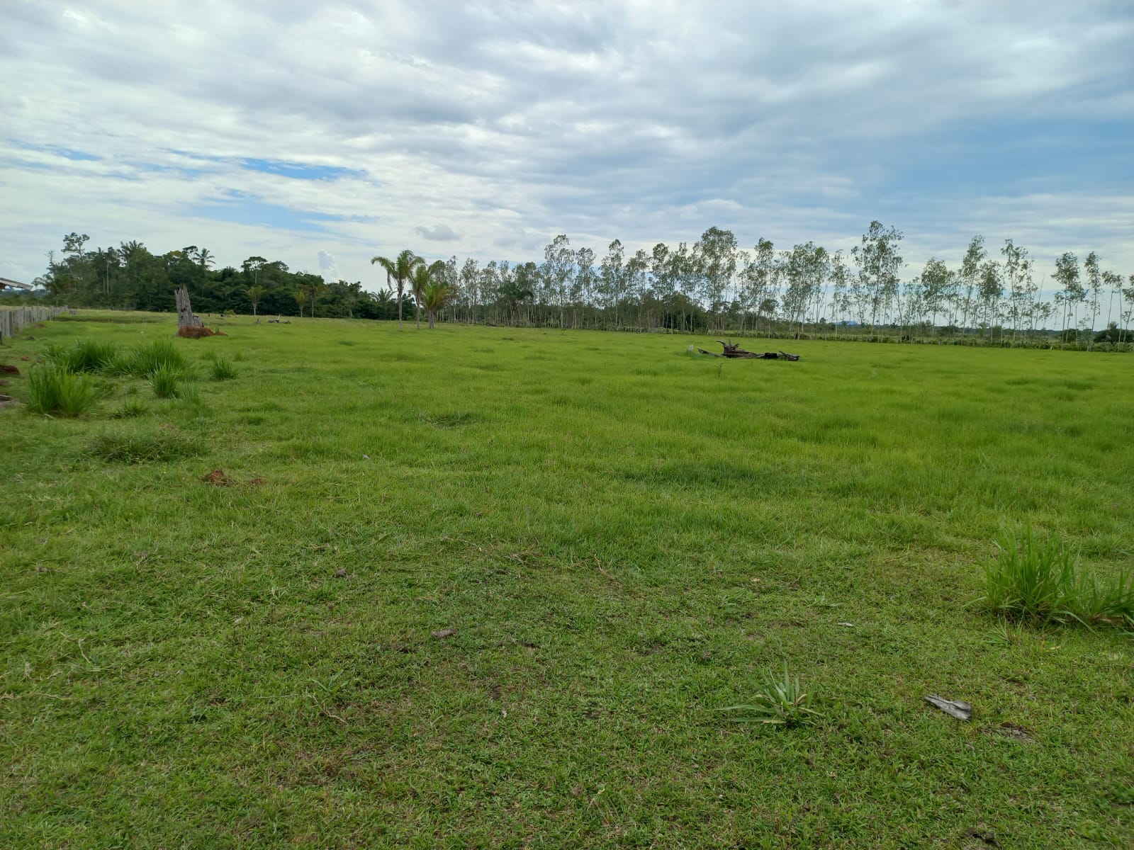 WhatsApp Image 2026-02-17 at 16.32.12