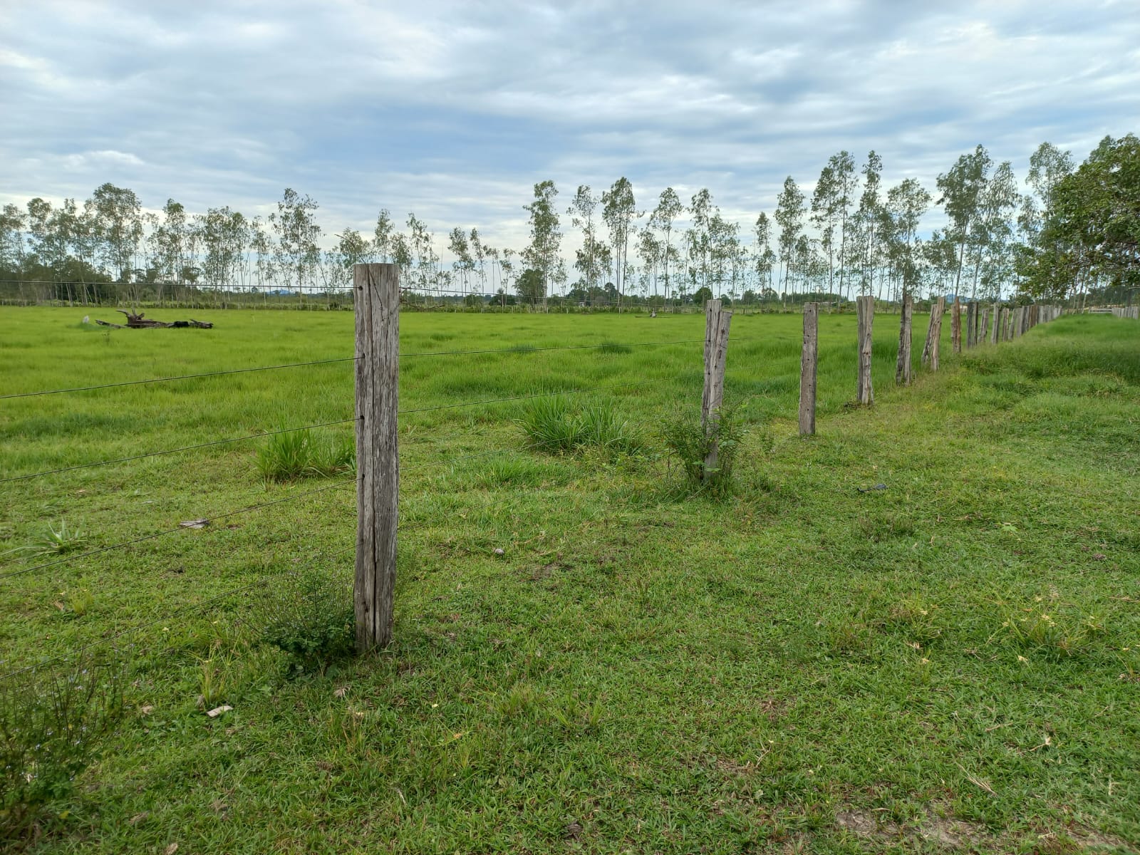 WhatsApp Image 2026-02-17 at 16.32.13 (1)