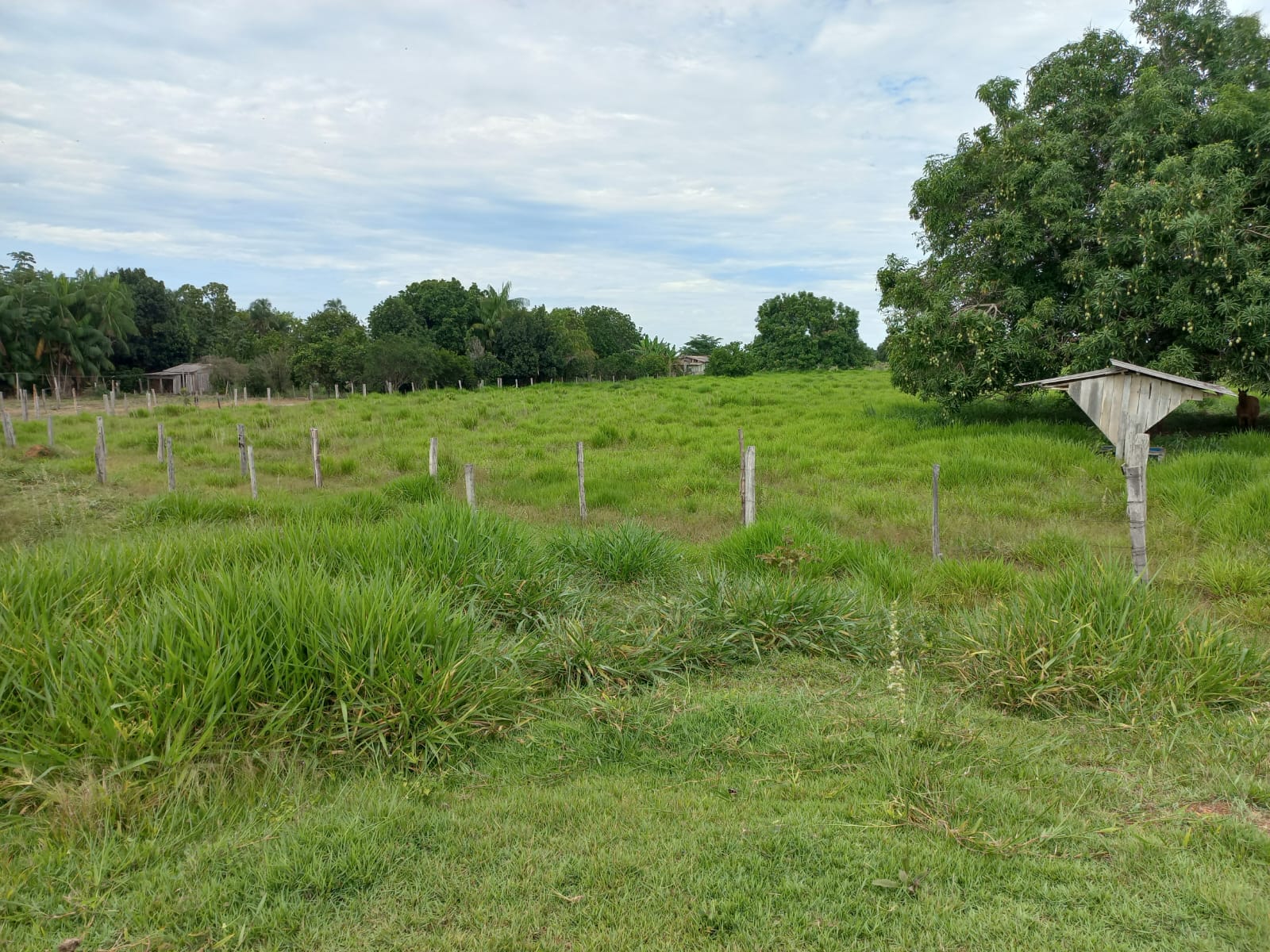 WhatsApp Image 2026-02-17 at 16.32.13 (2)