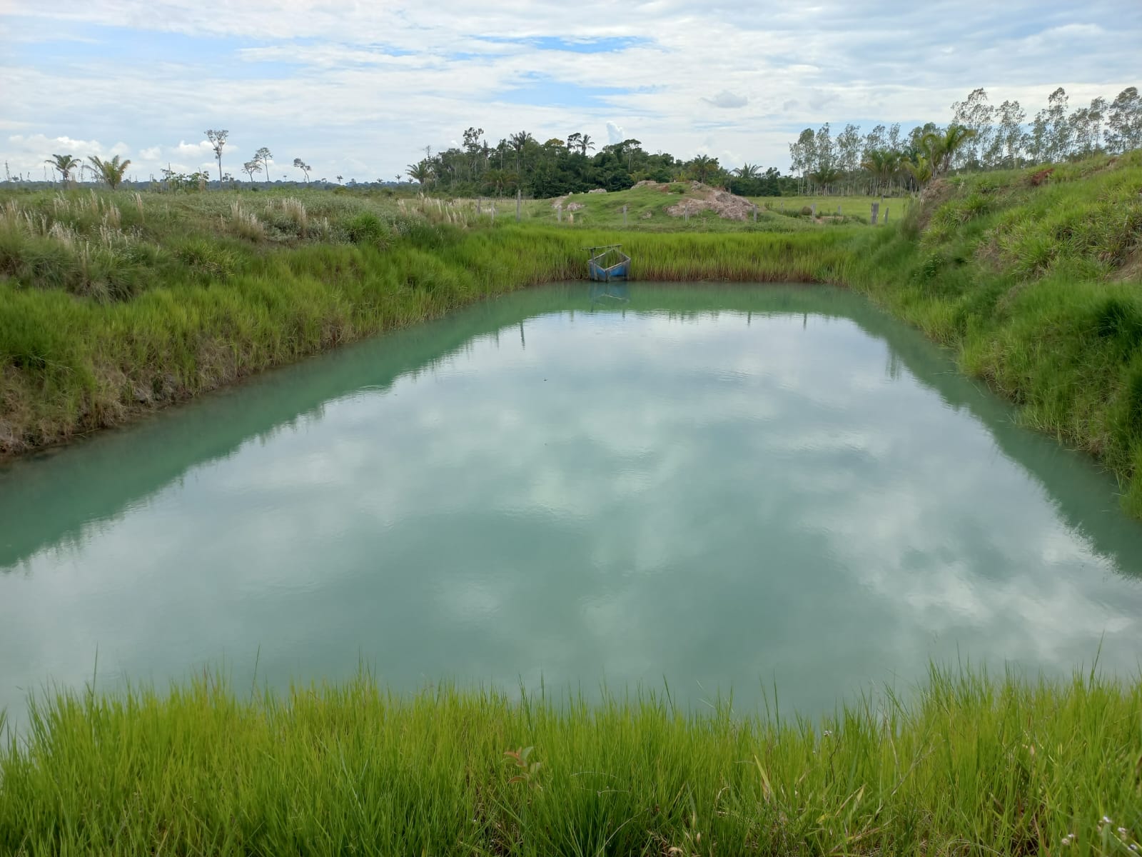 WhatsApp Image 2026-02-17 at 16.32.13 (3)