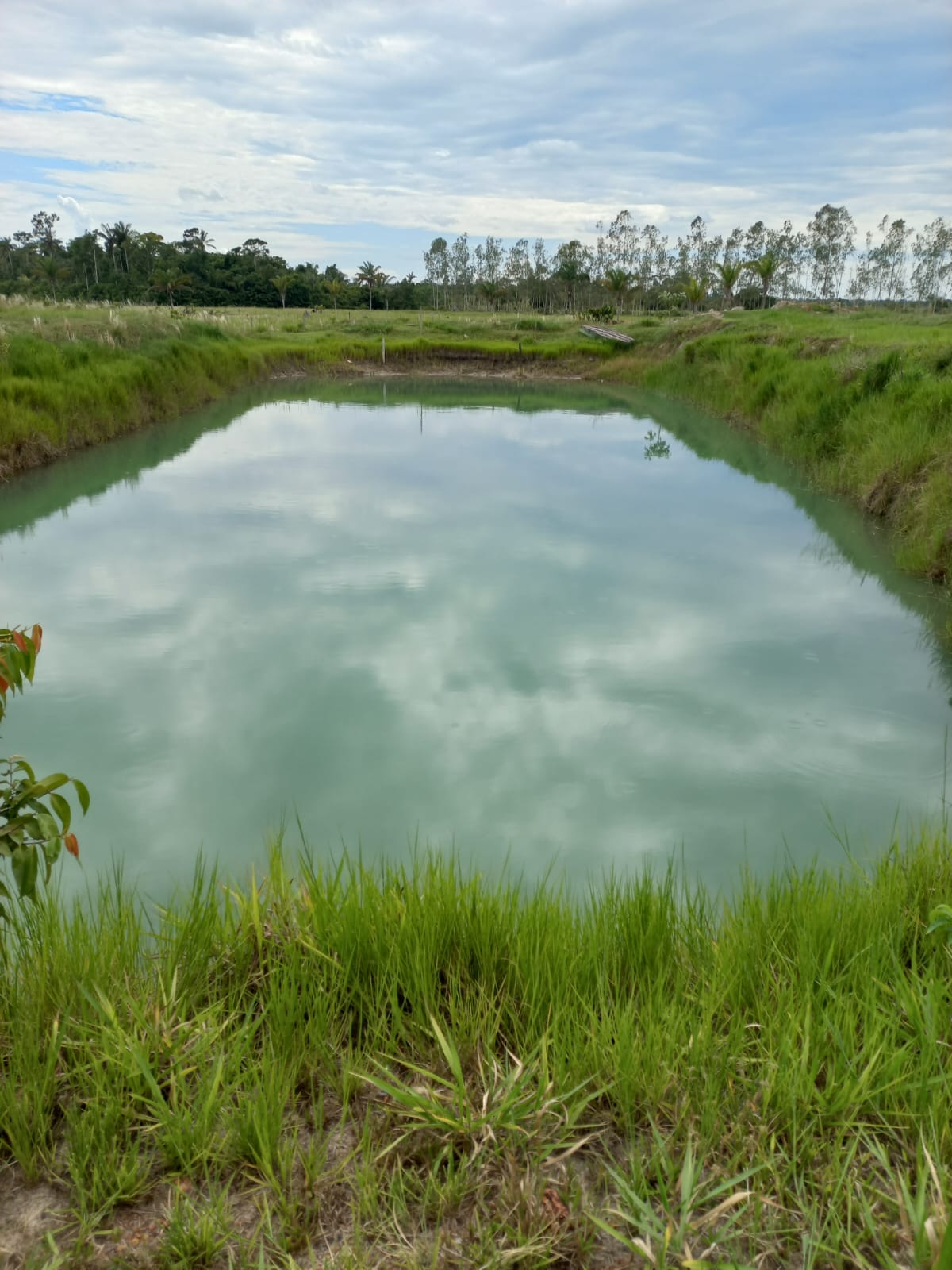 WhatsApp Image 2026-02-17 at 16.32.13 (4)