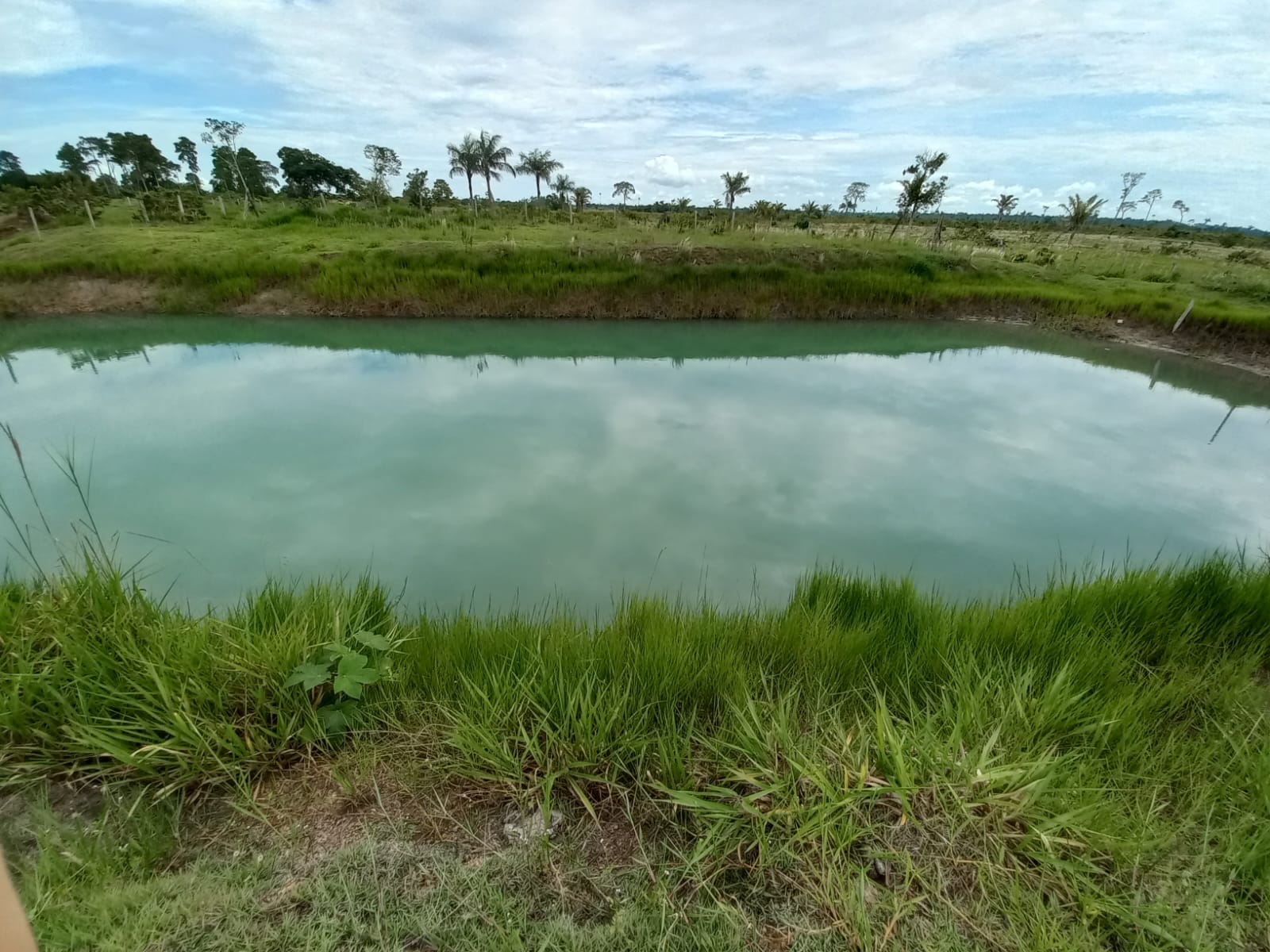 WhatsApp Image 2026-02-17 at 16.32.13 (5)